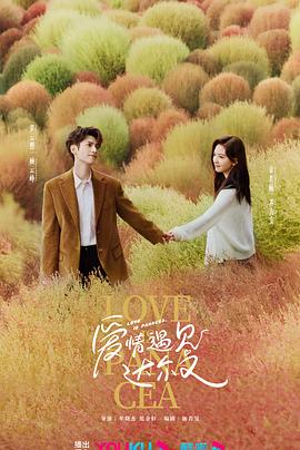 排名好的seo优化企业